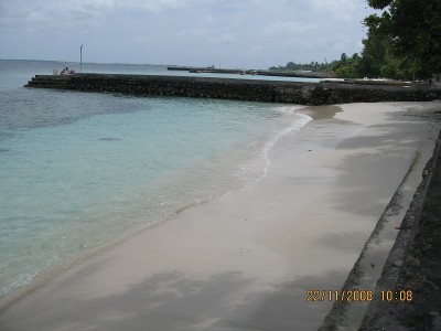 IMG_1951.jpg