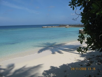 IMG_2320.jpg