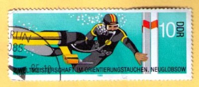 DDR.jpg