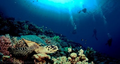 first pic1 (33 of 79).jpg
