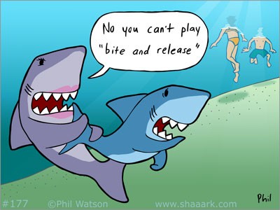 shaaark177.jpg