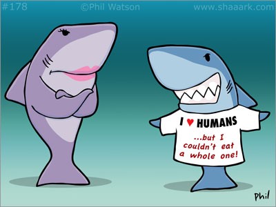 shaaark178.jpg