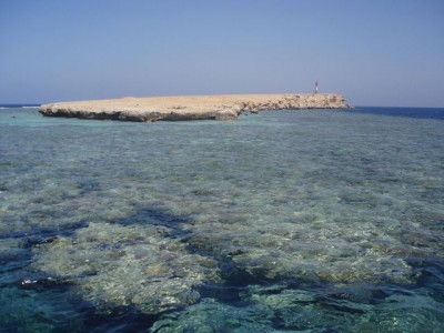 море море 1.jpg