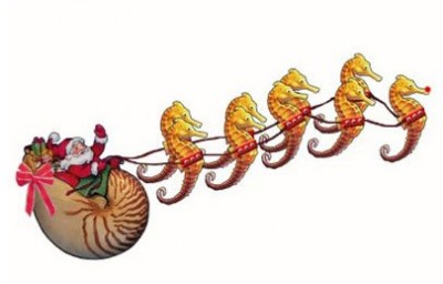 santa sea horse.jpg