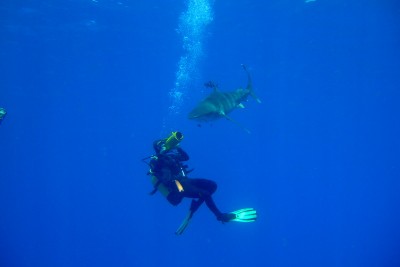 DSCF4087.JPG