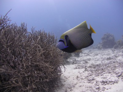 SANY3670.JPG