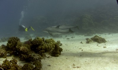 SANY0034.JPG
