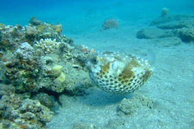 DSCF0830.JPG