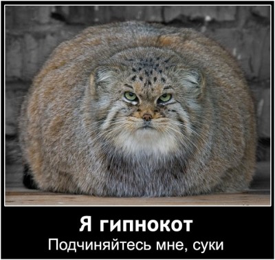 1225313459_016_poglad.jpg