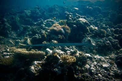IMG_0464.jpg