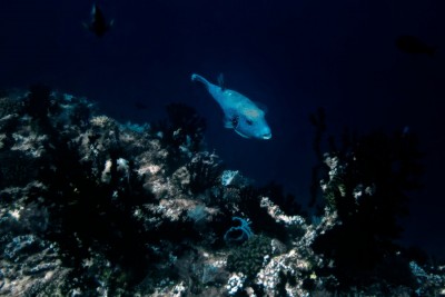 IMG_0370.jpg