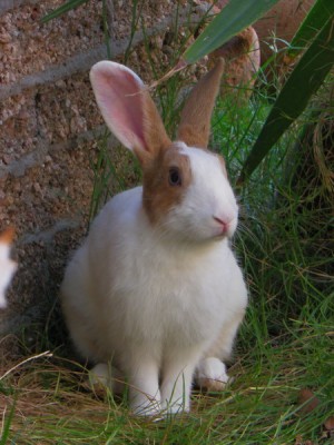 IMGP2949_новый размер.JPG