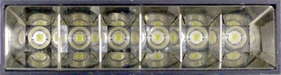 DSC09556.JPG