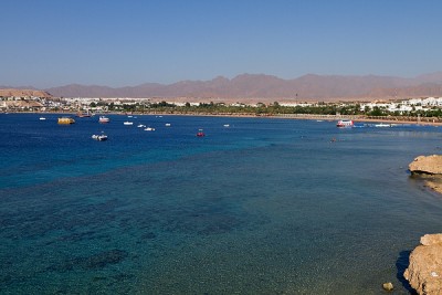 _MG_2674.jpg