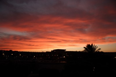 _MG_4186.JPG
