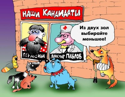 sobachyi_vybory.jpg