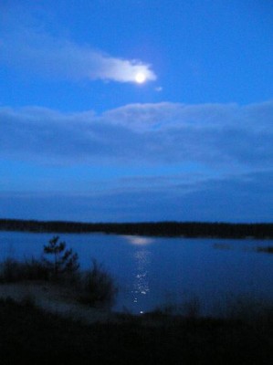 P1010001.jpg