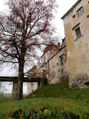 DSCN2381.jpg