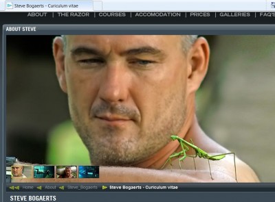 steve.jpg