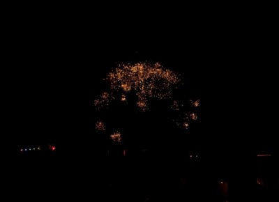 NY eve 010112_59.JPG