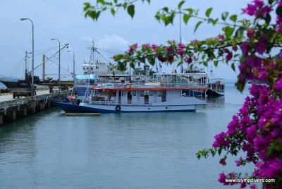 IMGP8969.jpg