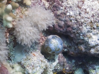 crw_9033.jpg