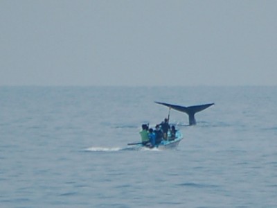 DSC_0148.jpg
