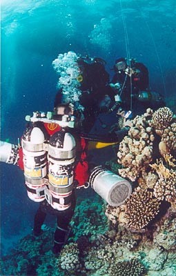 0_Image-19.jpg