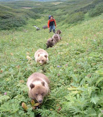 5cubs.inline.copy.jpg