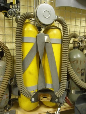 M5098743 (Средний).JPG