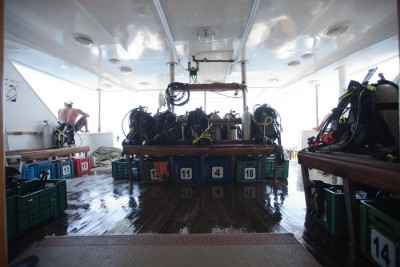 alfarouk2011_divedeck_1.jpg