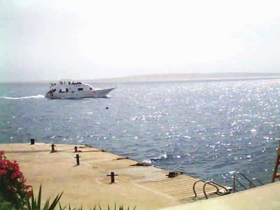 marine_18.jpg