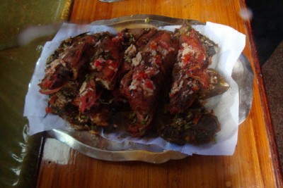 DSC02177_thumb.jpg