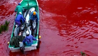 HomeGallery-Slide_bloody.jpg