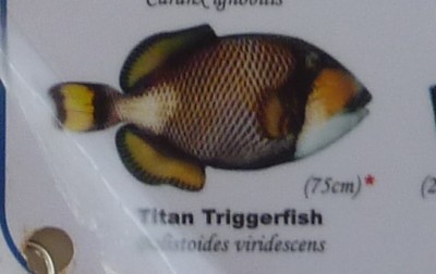 P1000912.JPG