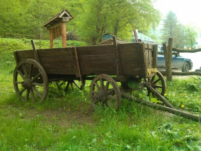 IMG_20120502_172653.jpg
