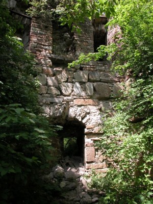 DSCN2898.jpg