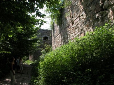 DSCN2877.jpg