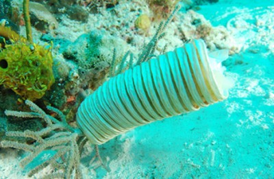 DSC_0402.JPG