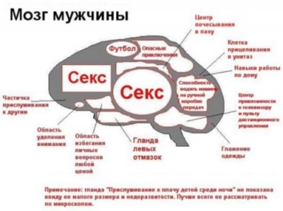 i_433675_1.jpg