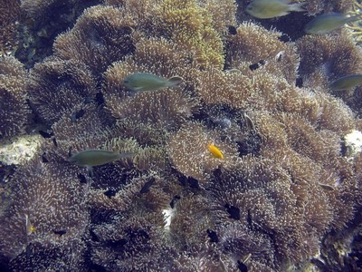 P4110472_roc.jpg