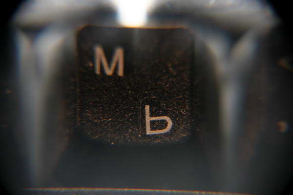 IMG_0039_resize.jpg