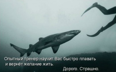 Акула тренер.jpg