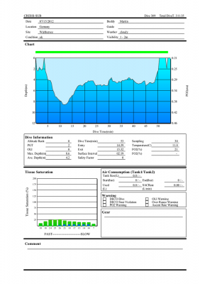 Dive_309_Walthersee.png