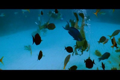 PDVD_000.jpg