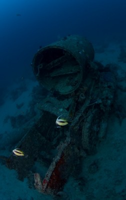 IMG_4404_1006 Thistlegorm EM73.JPG