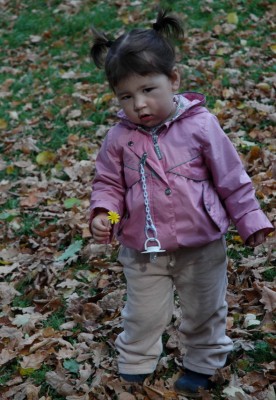 DSC_0571b.JPG