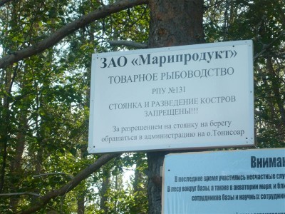 P1010971.JPG