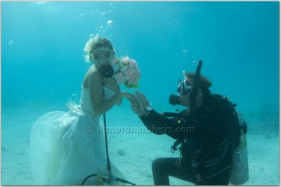 Diana Wed 14Web2.jpg