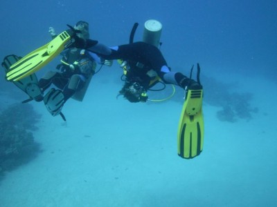 M0010494.jpg